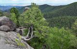 Image of landscape