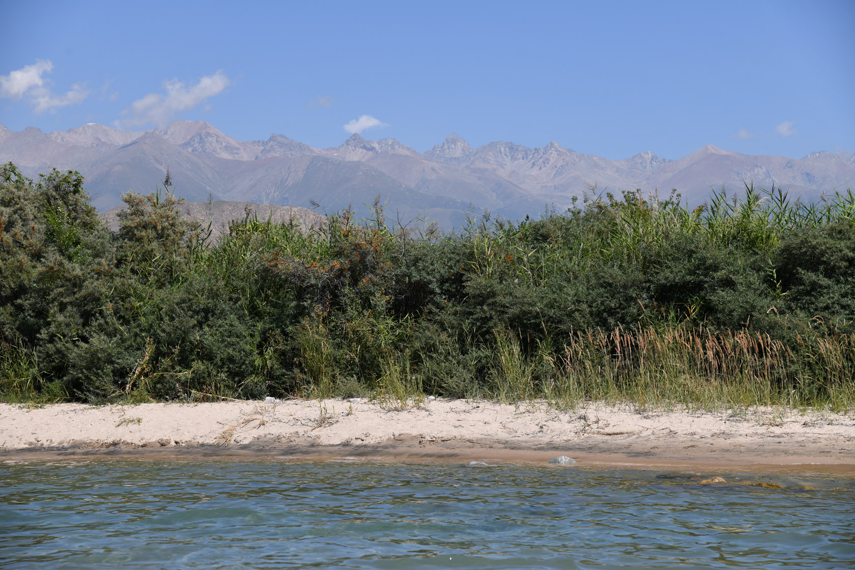 Чолпон-Ата, image of landscape/habitat.