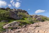 Териберка, image of landscape/habitat.