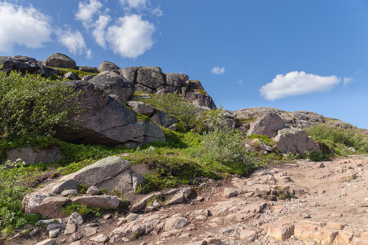 Териберка, image of landscape/habitat.