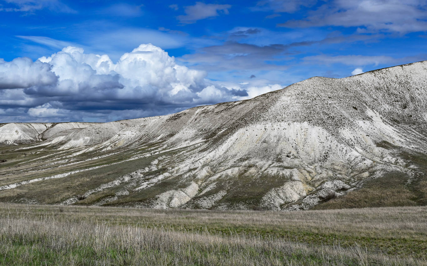 Природный парк "Донской", image of landscape/habitat.