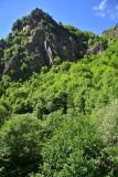 Окрестности храма Отхта, image of landscape/habitat.