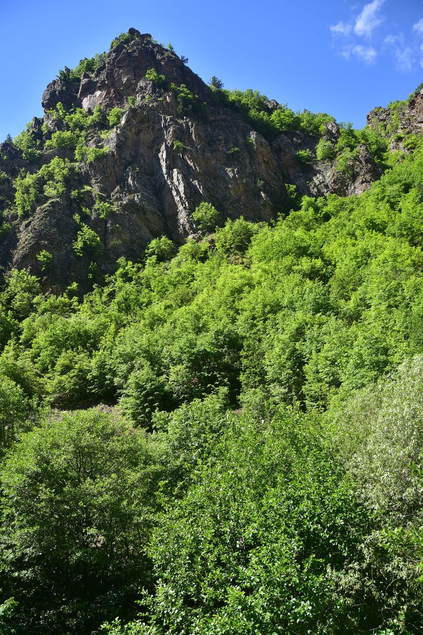Окрестности храма Отхта, image of landscape/habitat.