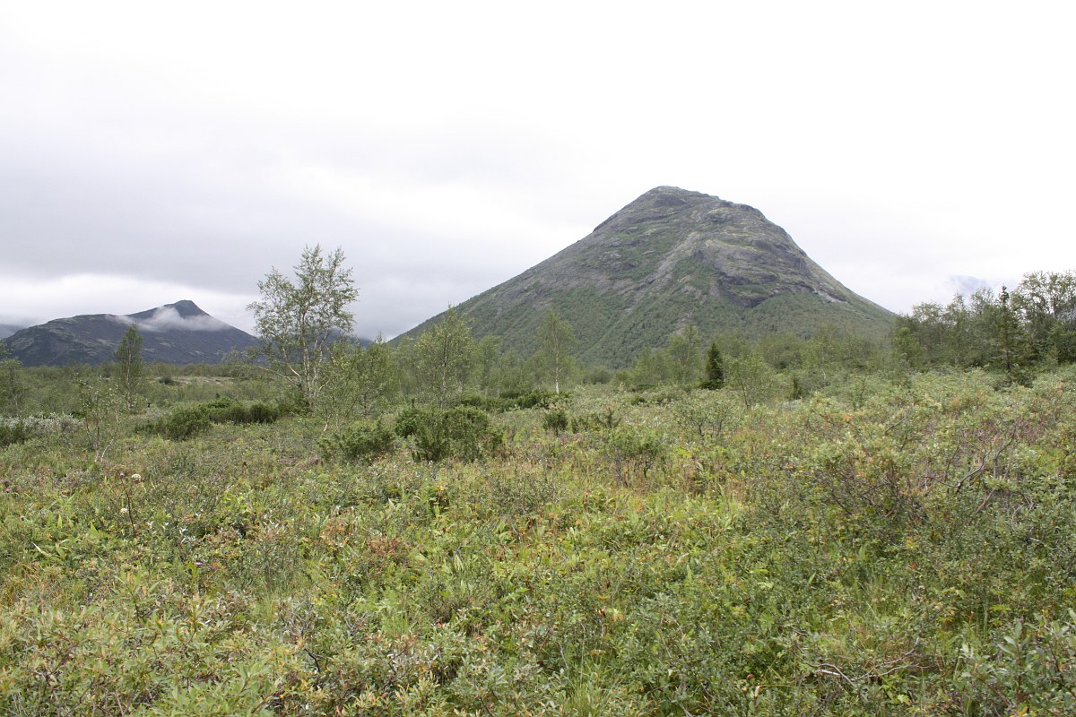 Окрестности Малого Вудъявра, image of landscape/habitat.