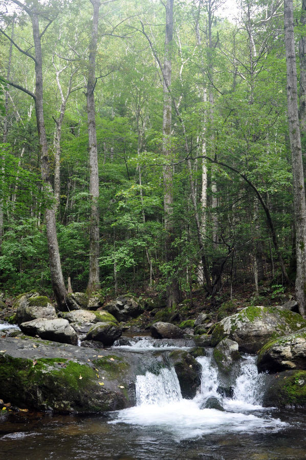 Долина реки Еломовский ключ, image of landscape/habitat.