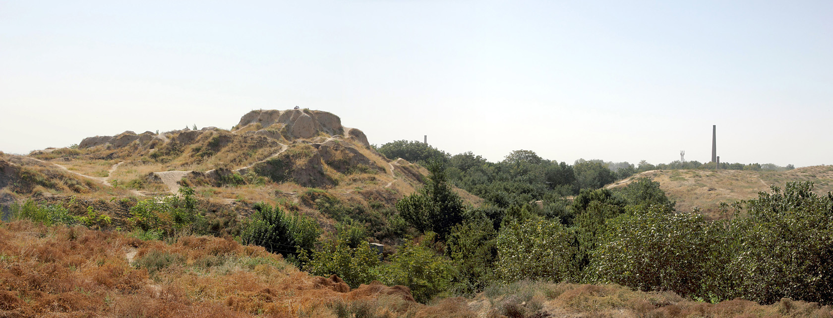 Актепа Юнусабадская, image of landscape/habitat.