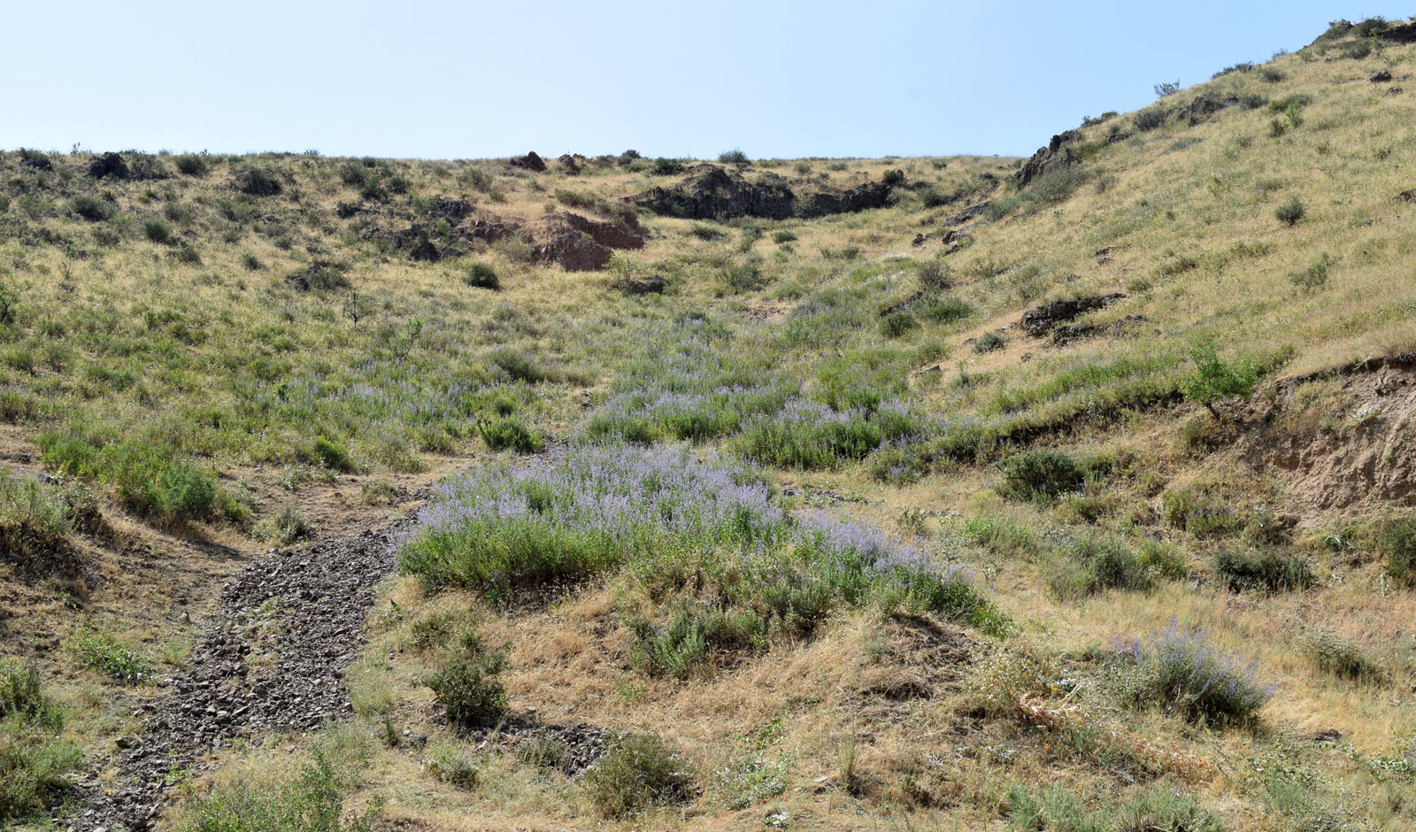 Горы Кырташтау, image of landscape/habitat.