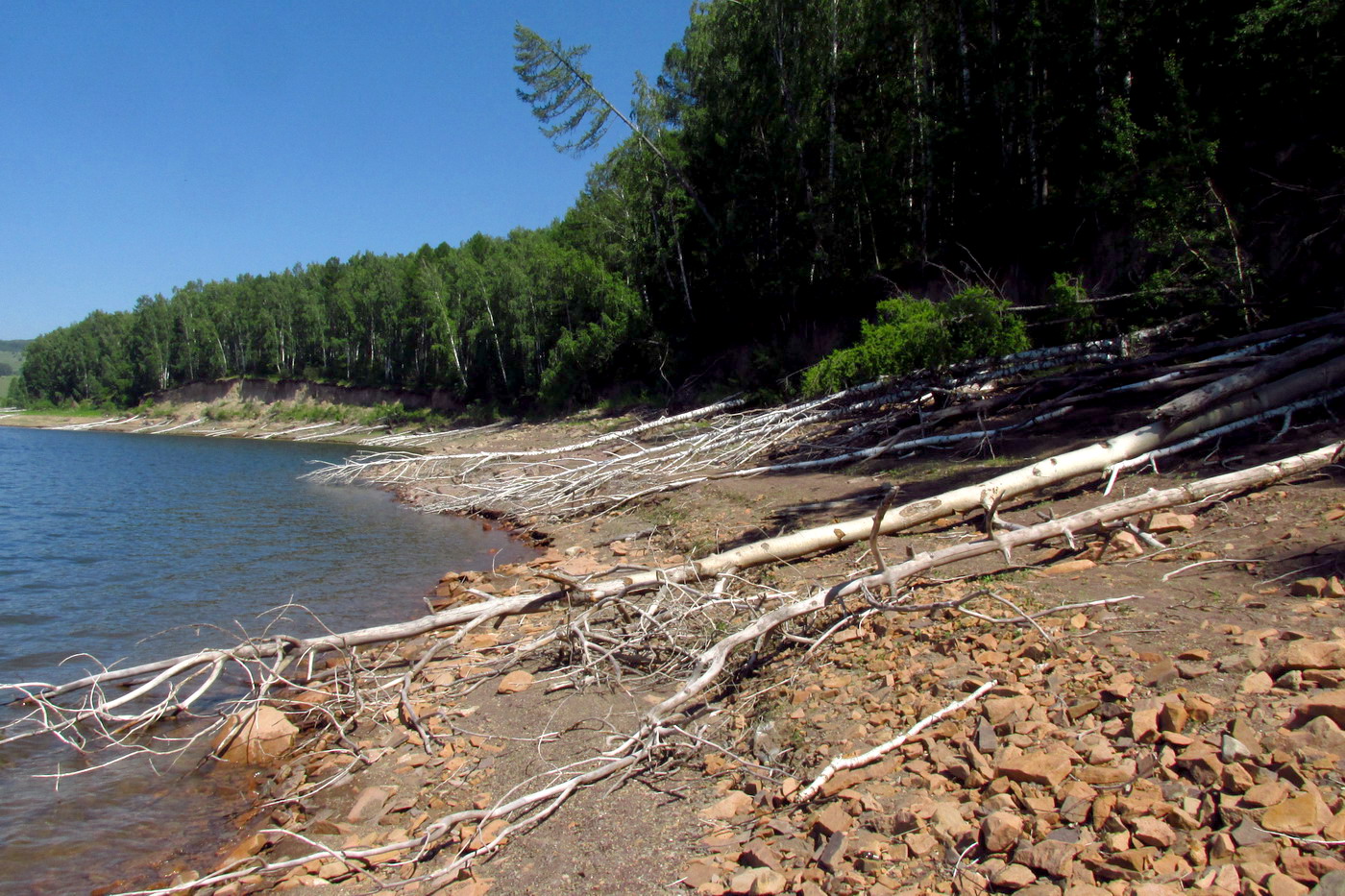 Убейский залив, image of landscape/habitat.