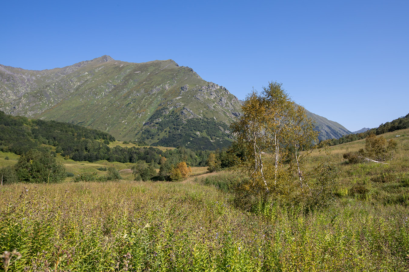 Верховья реки Уруштен, image of landscape/habitat.