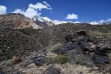 Image of landscape