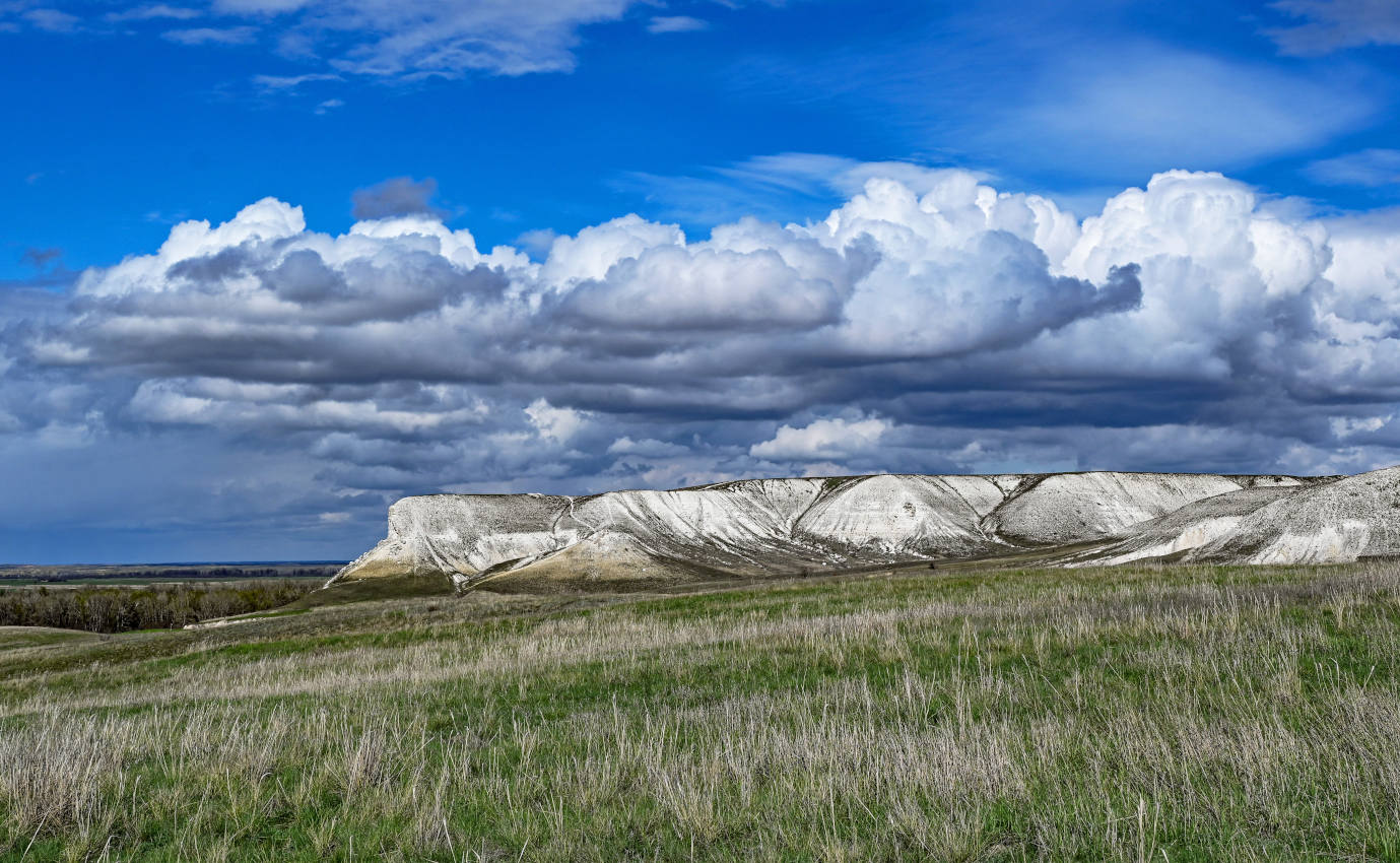 Природный парк "Донской", image of landscape/habitat.