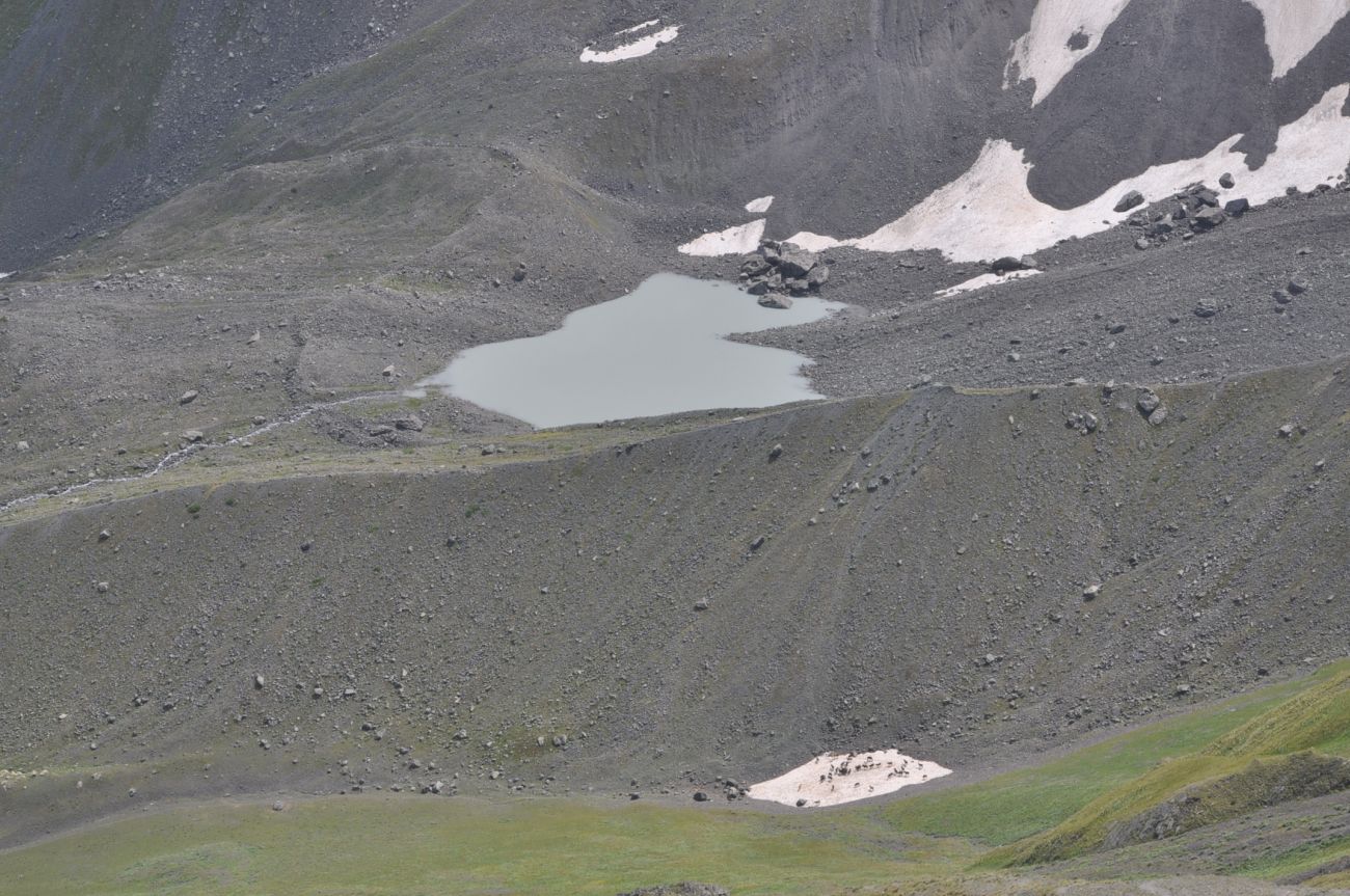 Окрестности озера Абуделаури, image of landscape/habitat.