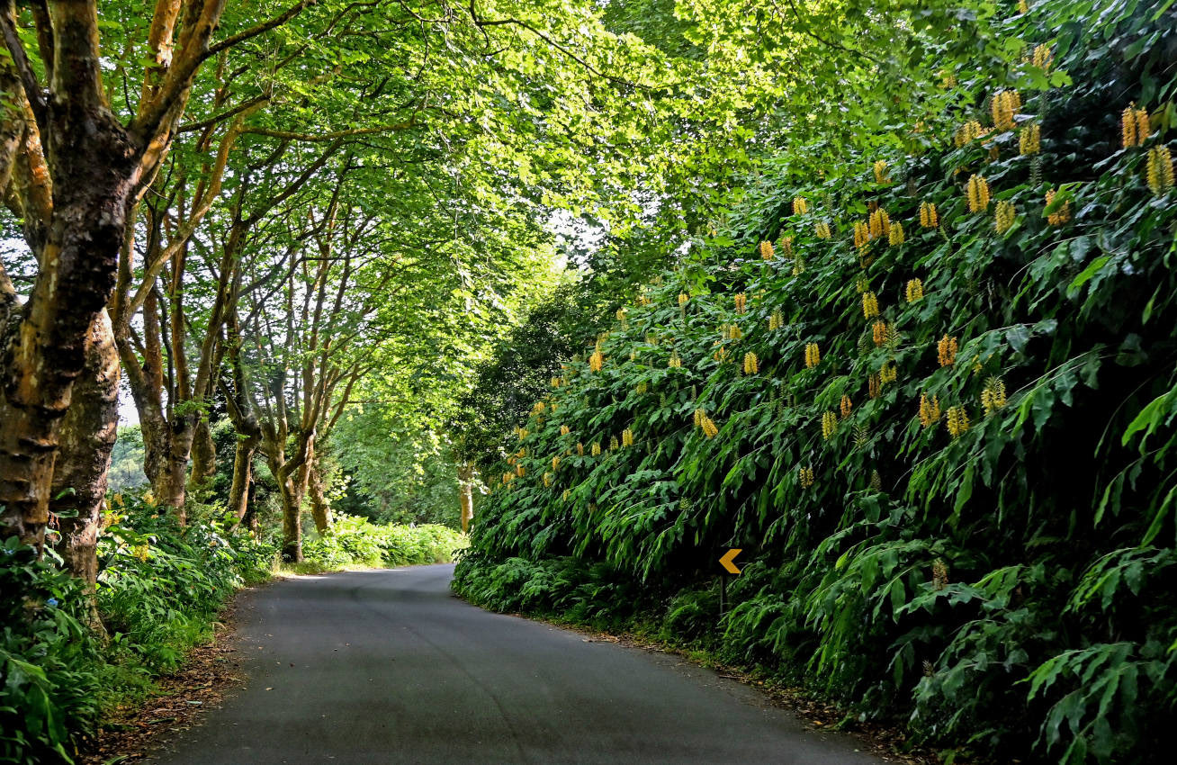 Порту-Формозу, изображение ландшафта.