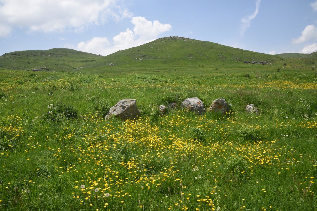 Окрестности Зеда-Тмогви, image of landscape/habitat.
