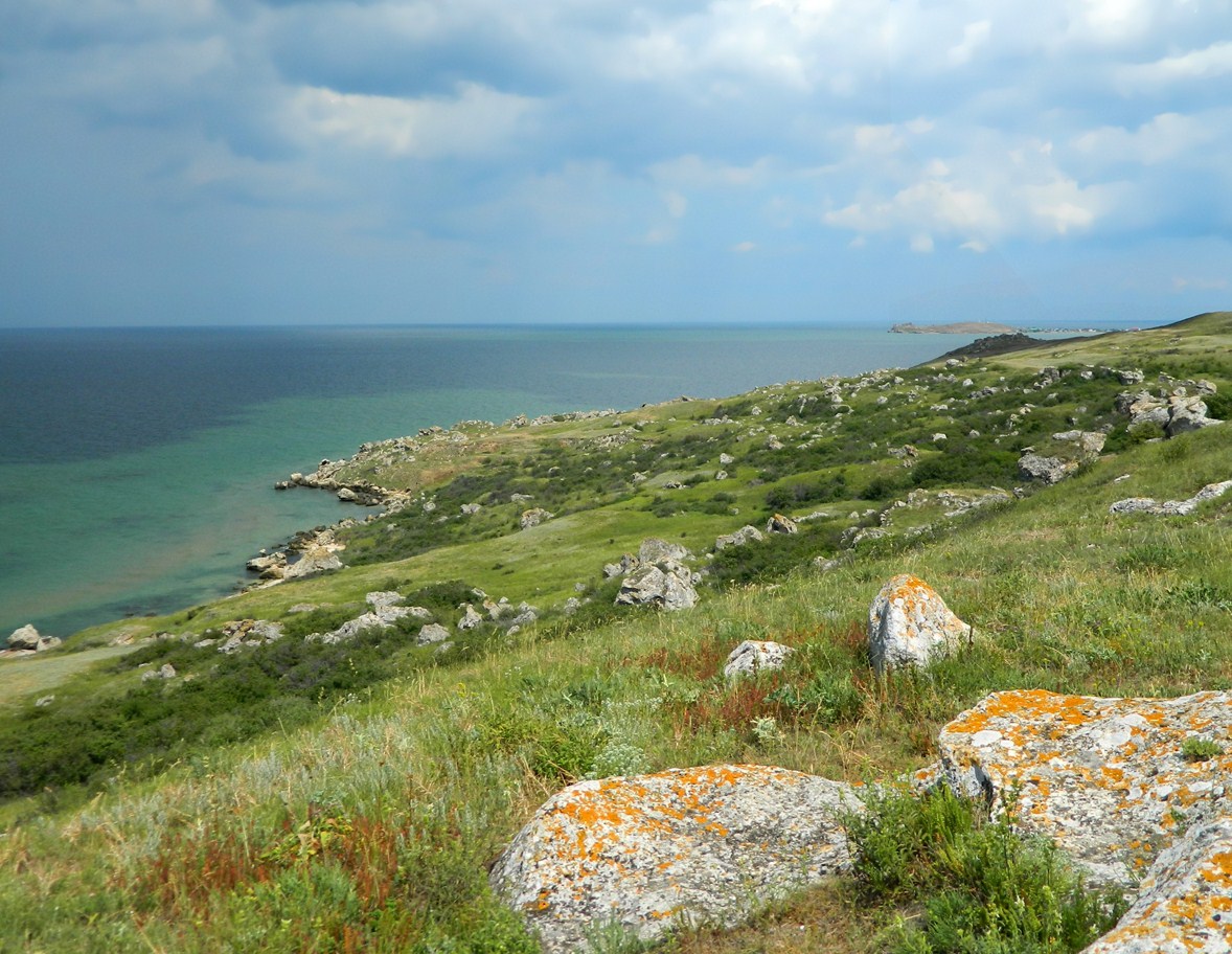 Караларская степь, изображение ландшафта.