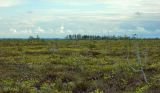 Image of landscape
