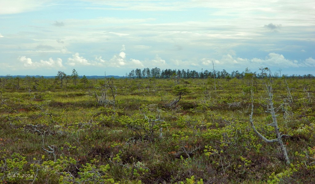 Кушерека, image of landscape/habitat.