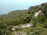 Image of landscape