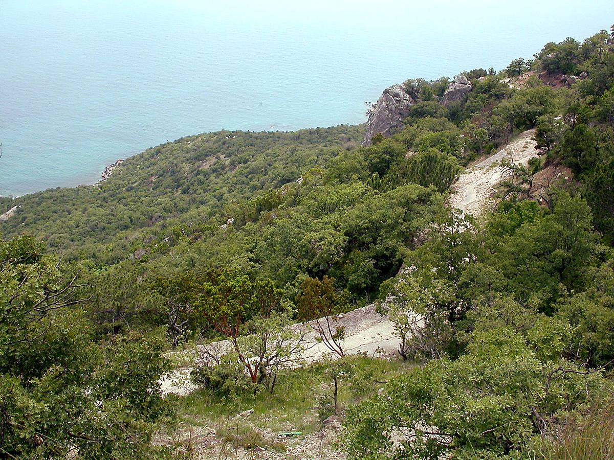 Батилиман, image of landscape/habitat.