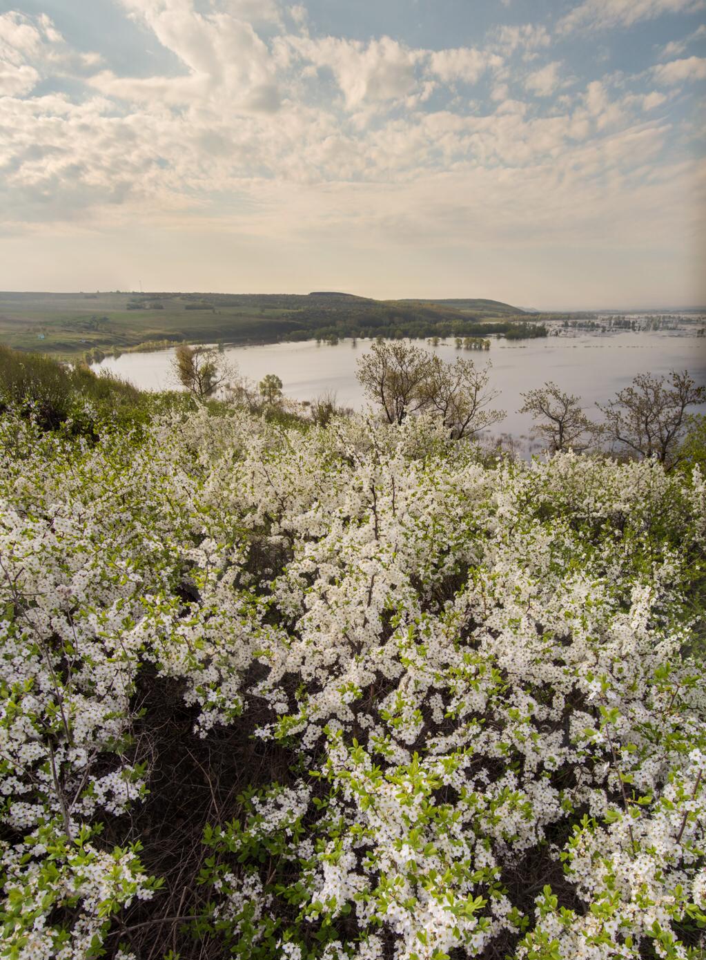 Правый берег реки Зай, image of landscape/habitat.