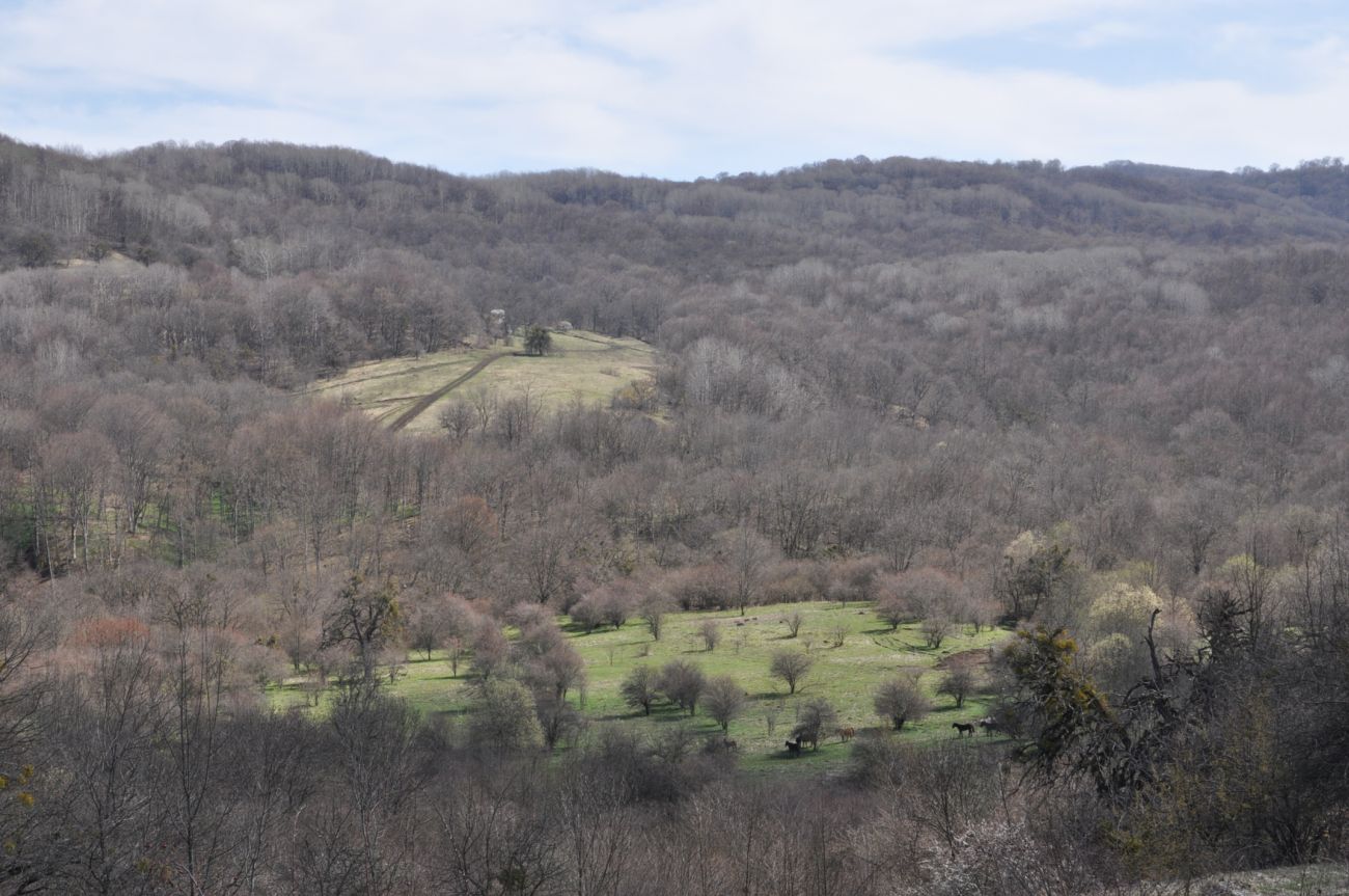 Окрестности пещеры Порошковая, image of landscape/habitat.