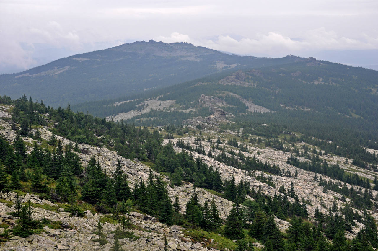 Хребет Уреньга, image of landscape/habitat.