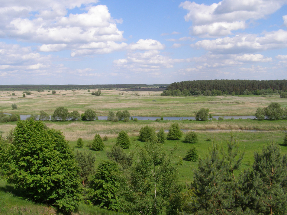 Гетманский НПП, image of landscape/habitat.