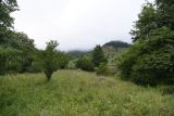 Image of landscape