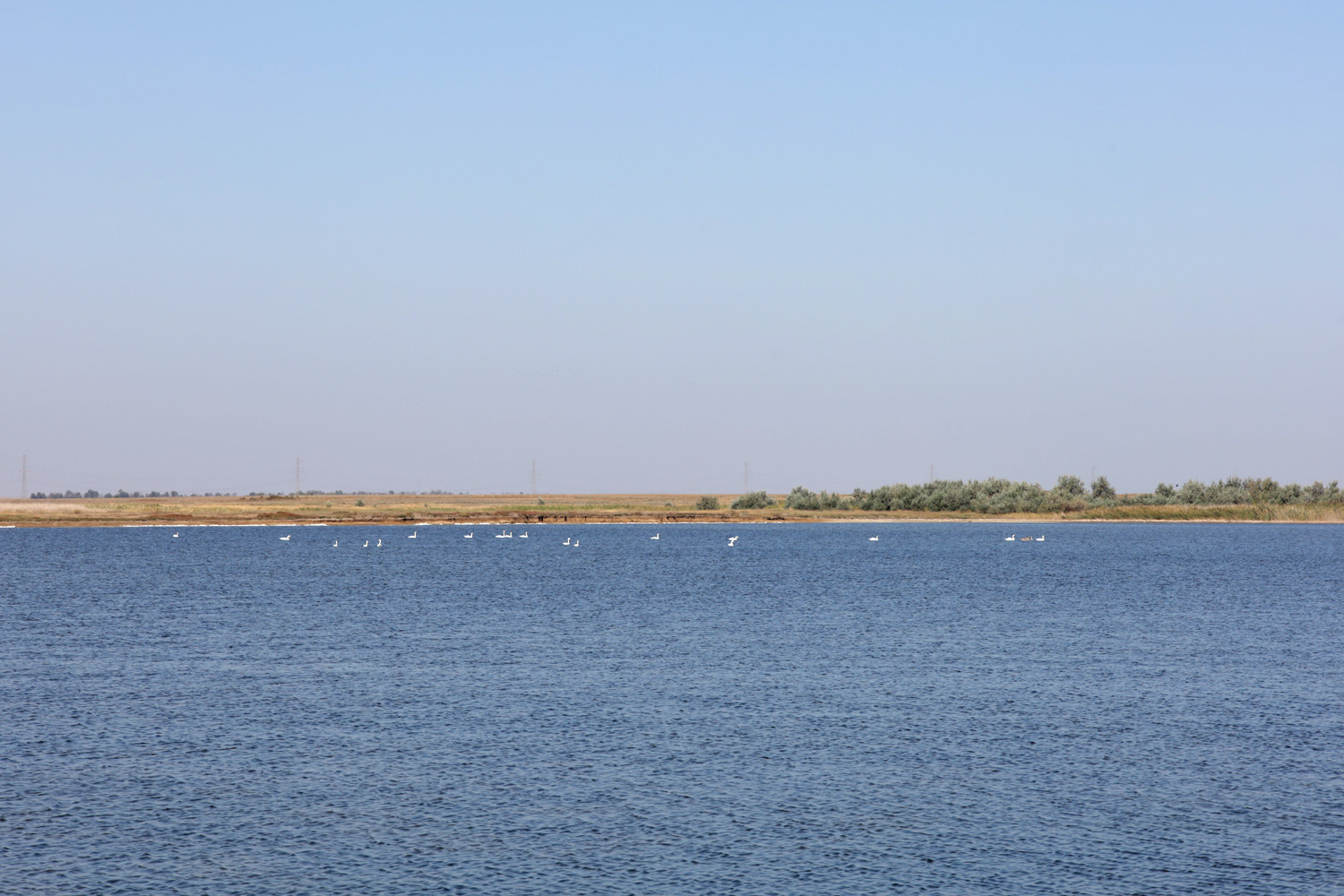 Озеро Айгульское, image of landscape/habitat.