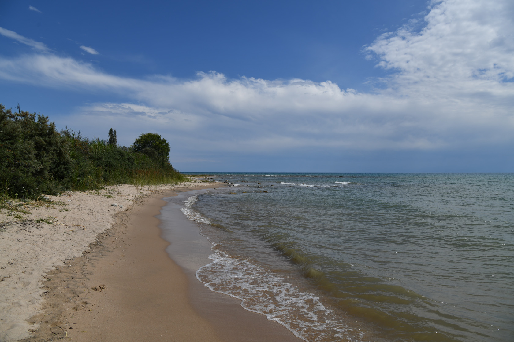 Чолпон-Ата, image of landscape/habitat.