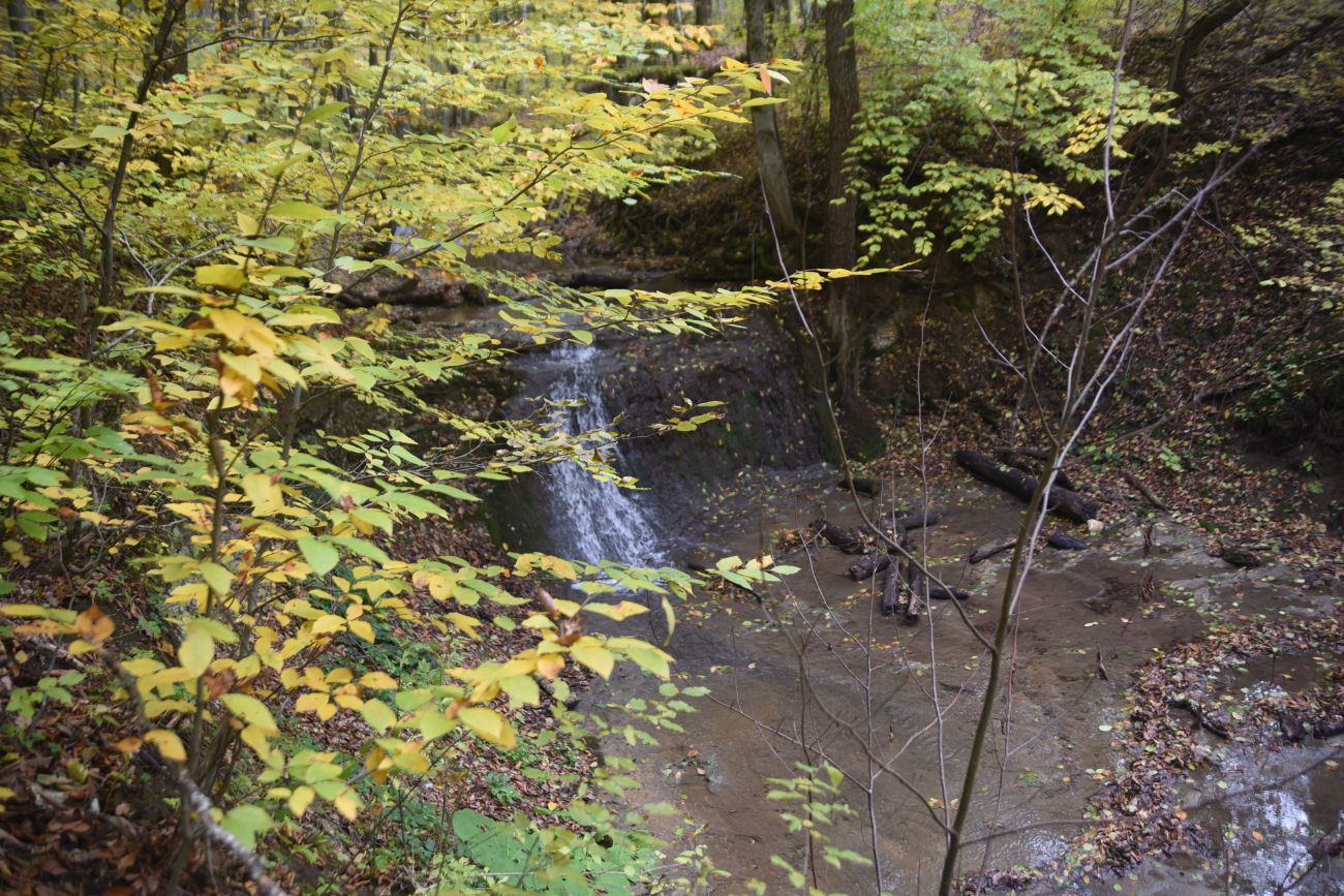 Окрестности устья ручья Толмач, изображение ландшафта.