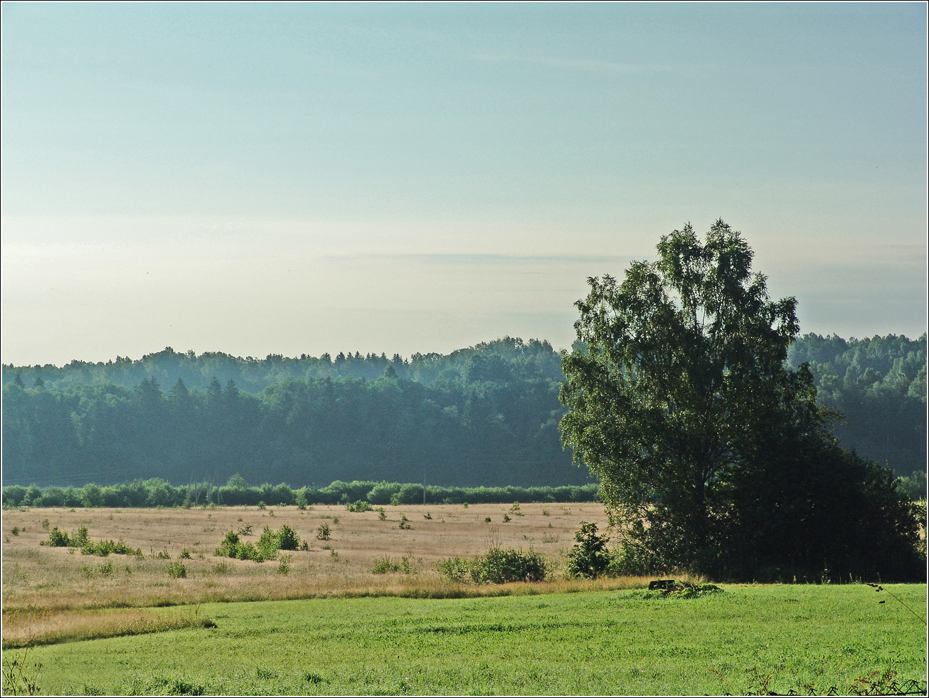 Вазуза, изображение ландшафта.