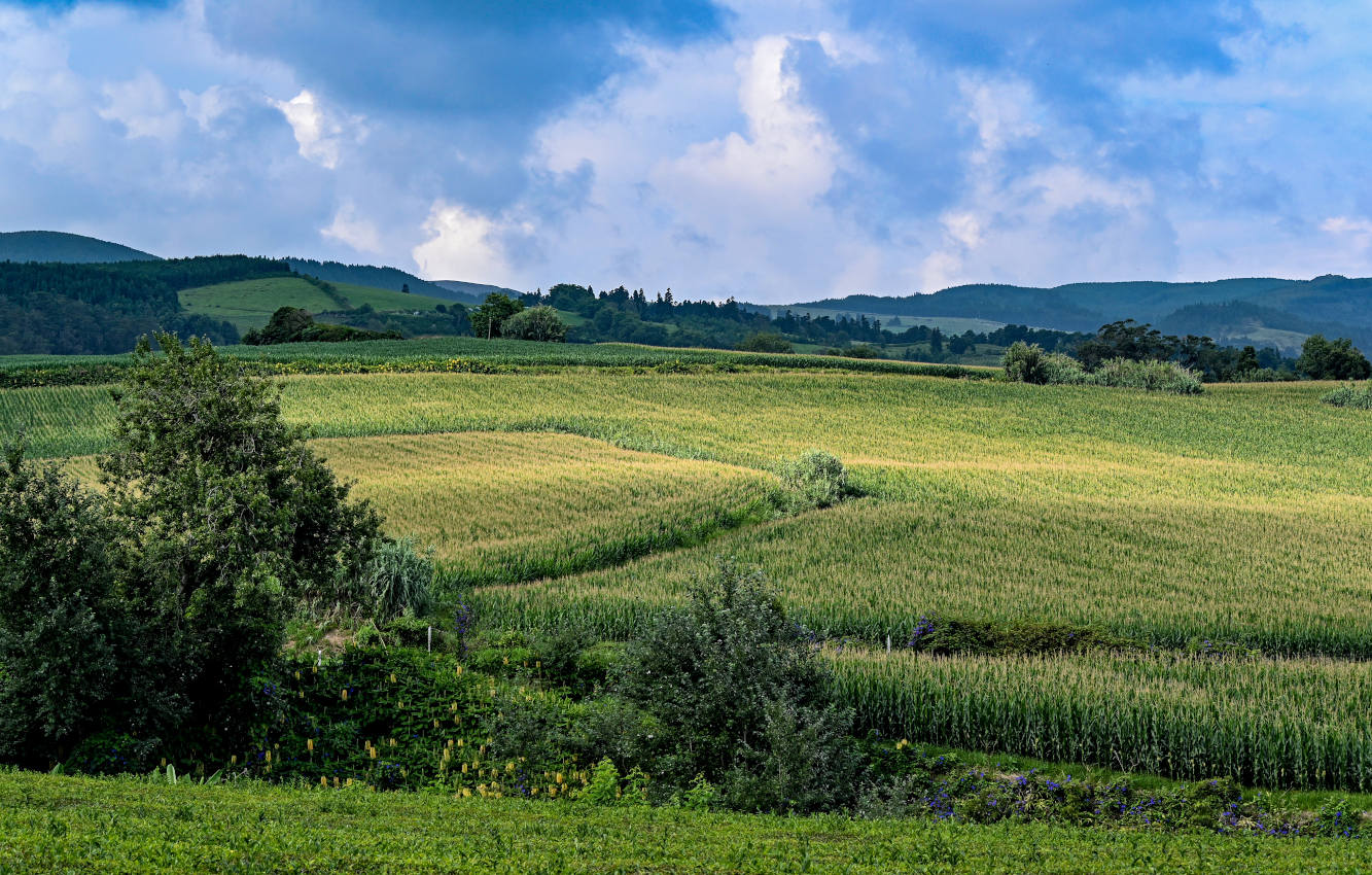 Порту-Формозу, изображение ландшафта.