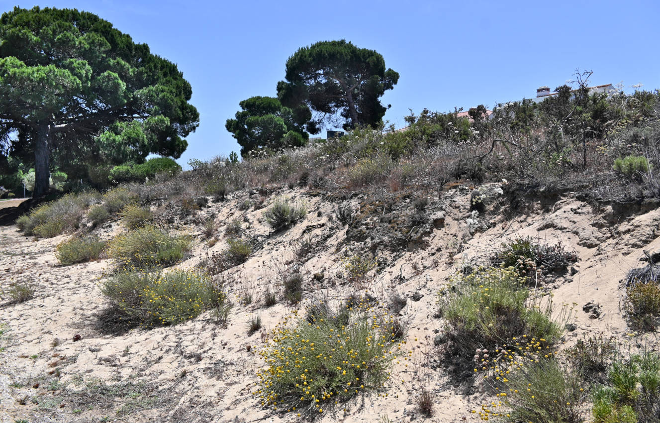 Санту-Андре, image of landscape/habitat.