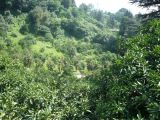 Image of landscape