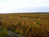 Луганск, image of landscape/habitat.