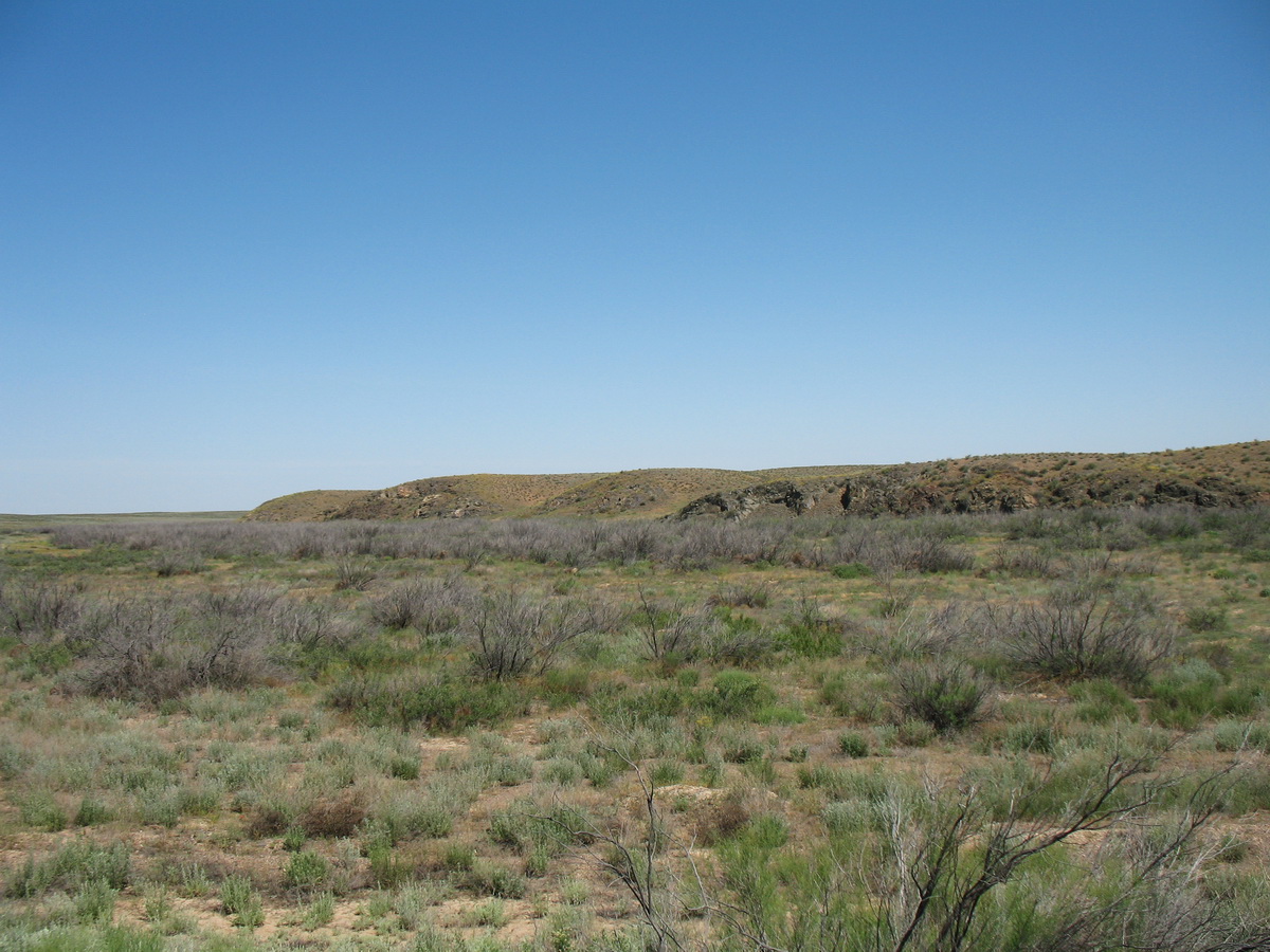 Куйыршак-Шолак, image of landscape/habitat.