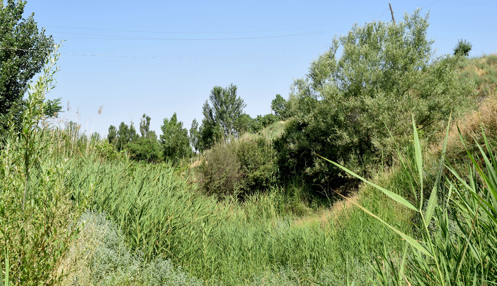 Горы Кырташтау, image of landscape/habitat.