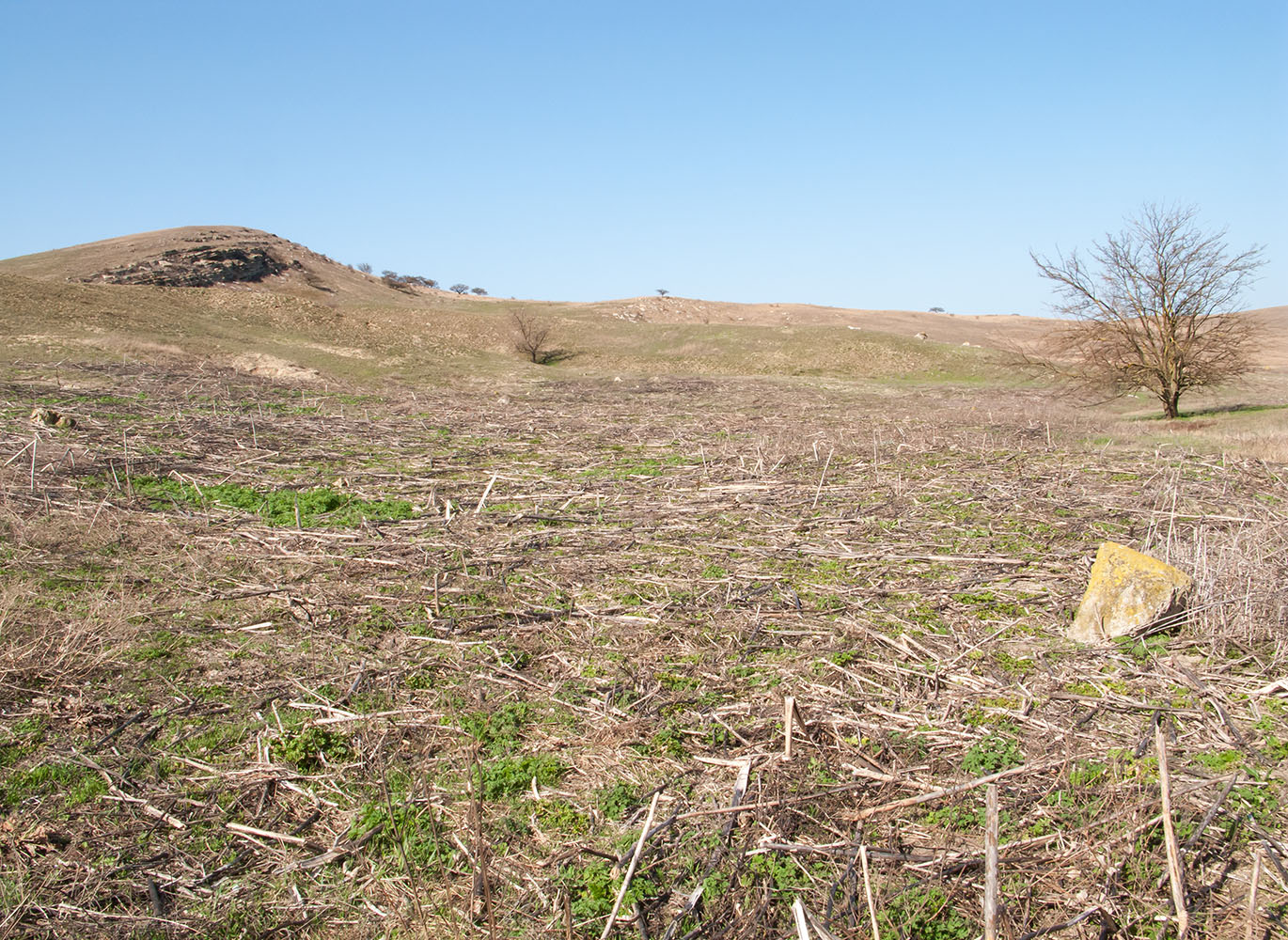 Ташкалак, image of landscape/habitat.