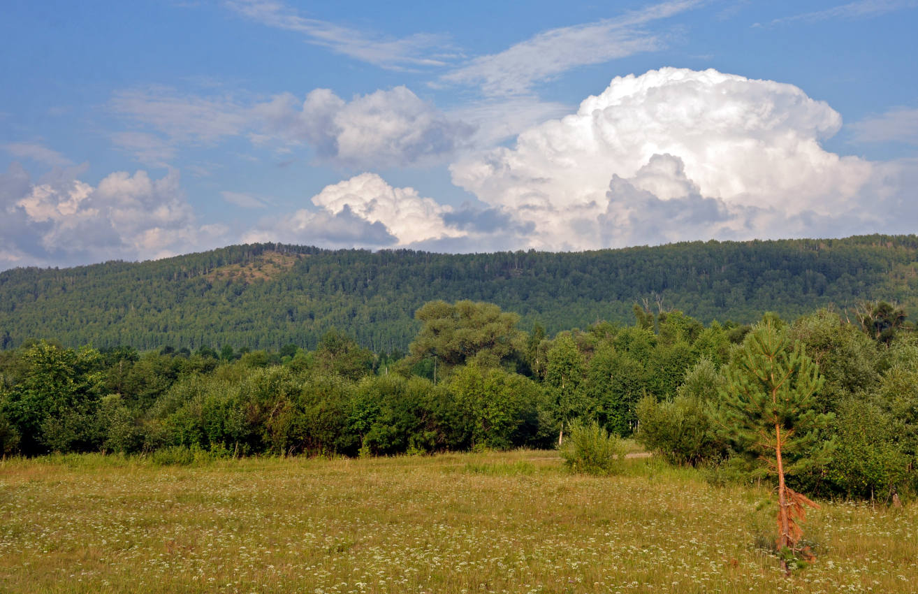 Окрестности посёлка Сактаево, image of landscape/habitat.