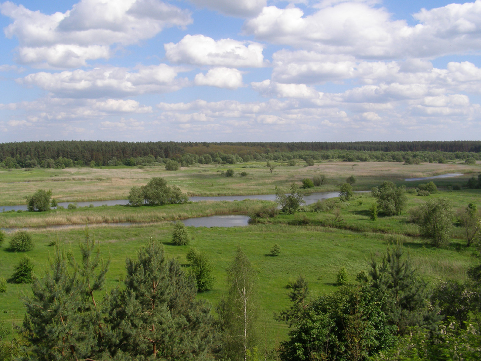 Гетманский НПП, изображение ландшафта.