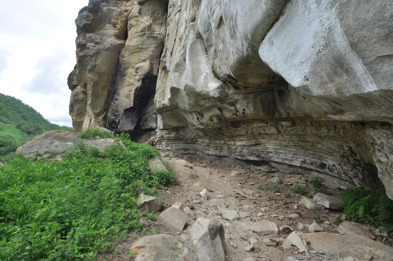 Окрестности скалы Арка, image of landscape/habitat.