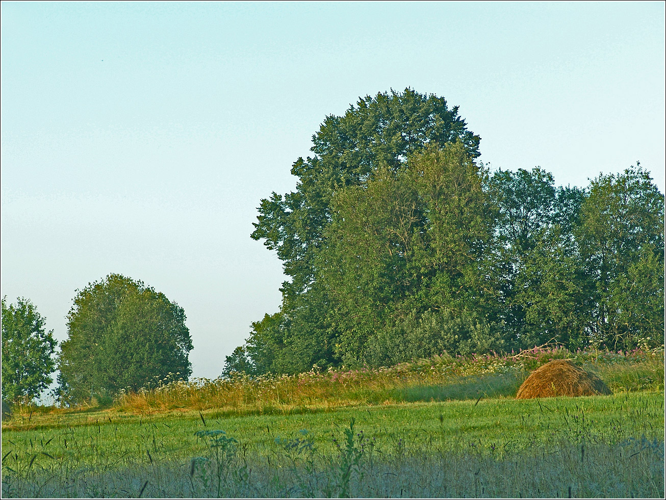 Вазуза, изображение ландшафта.