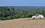 Image of landscape