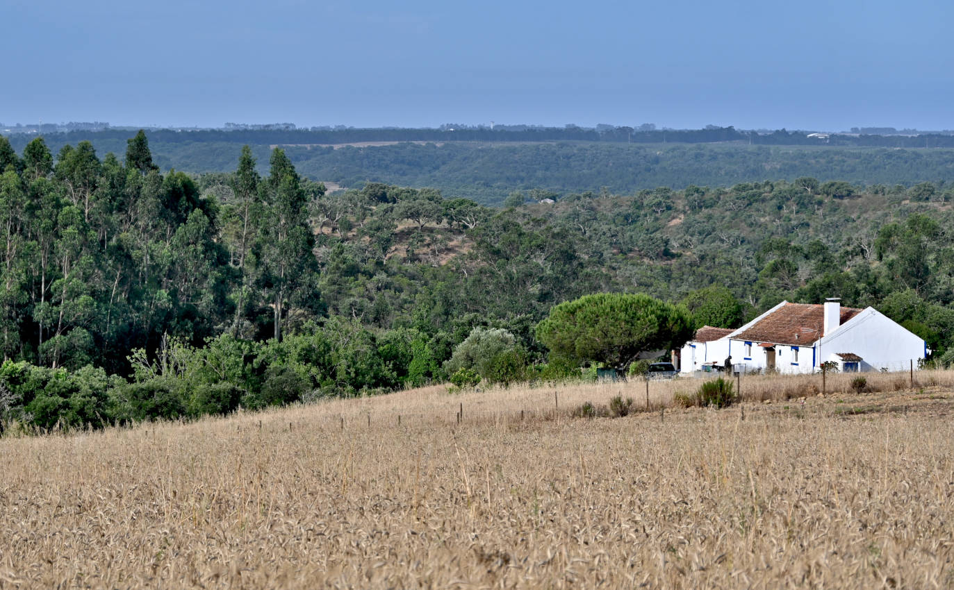 Долина реки Мира, image of landscape/habitat.
