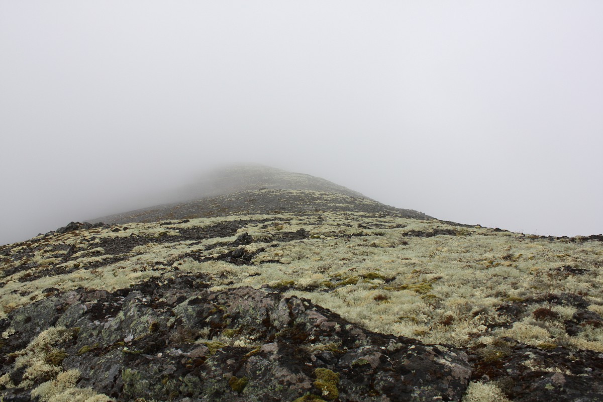 Окрестности Малого Вудъявра, image of landscape/habitat.