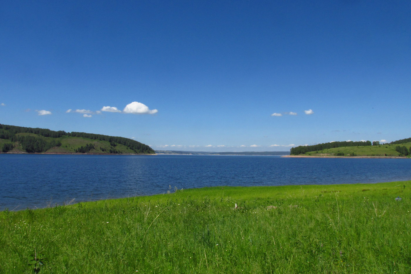 Убейский залив, image of landscape/habitat.