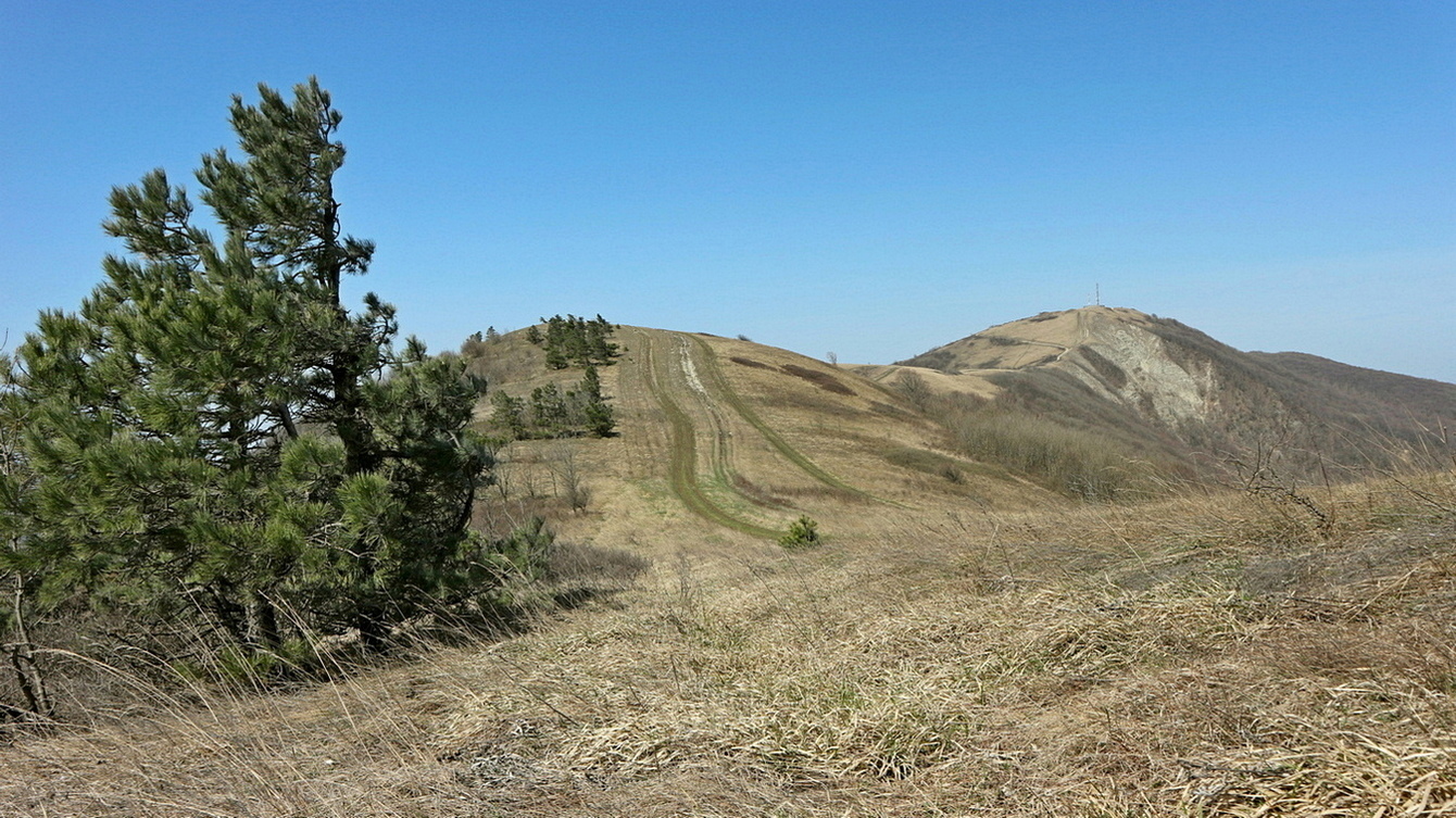Окрестности Геленджика, image of landscape/habitat.