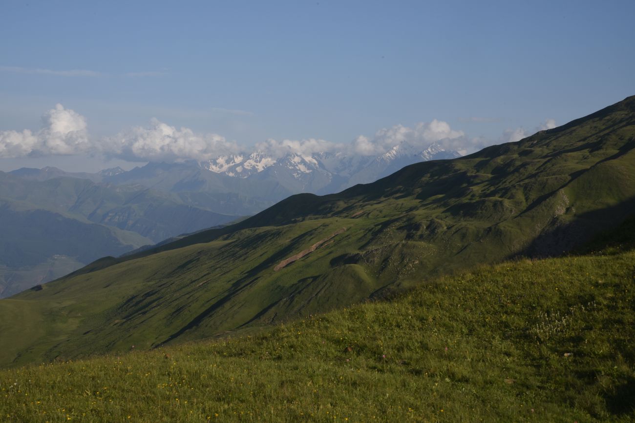 Гора Косараку, изображение ландшафта.