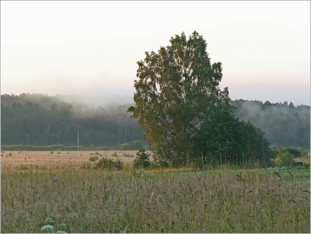 Вазуза, изображение ландшафта.